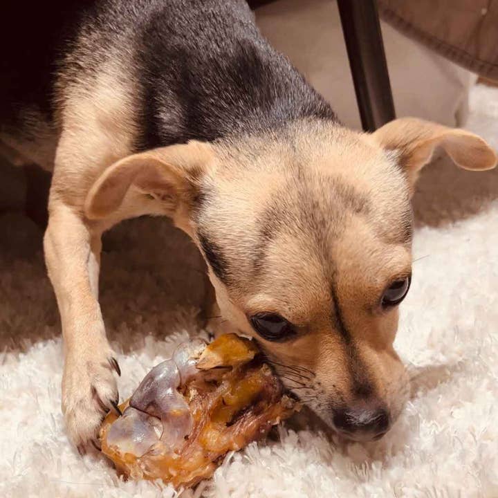 Truffe Délice - Wholesale Pet bone/rawhide – Dog - Beef knee1