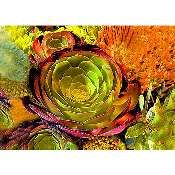 Saftiga ENCL nr.4 för wholesale av Line Five Studio