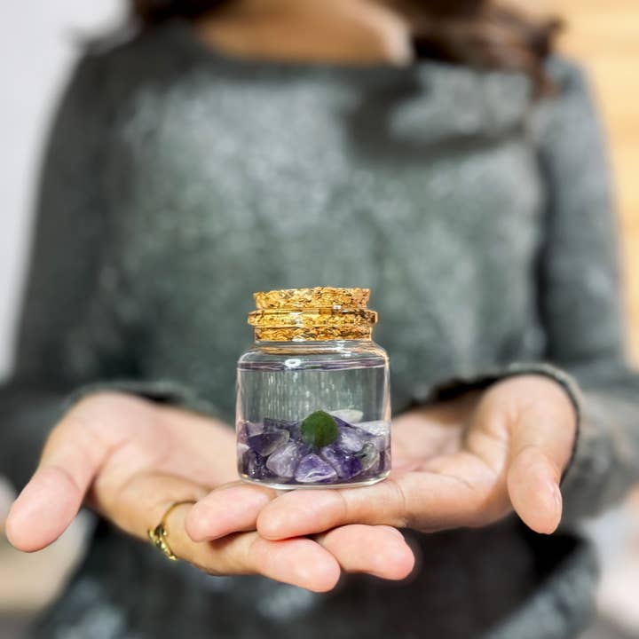 Moss Amigos | Moss Ball Terrariums - Wholesale Live Plant - Small Marimo Moss Ball Terrarium with Amethyst Gemstone2