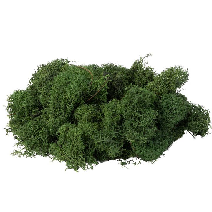 Reindeer Moss 5lb Bag FA1006 for wholesale by Replica Plants and Decor