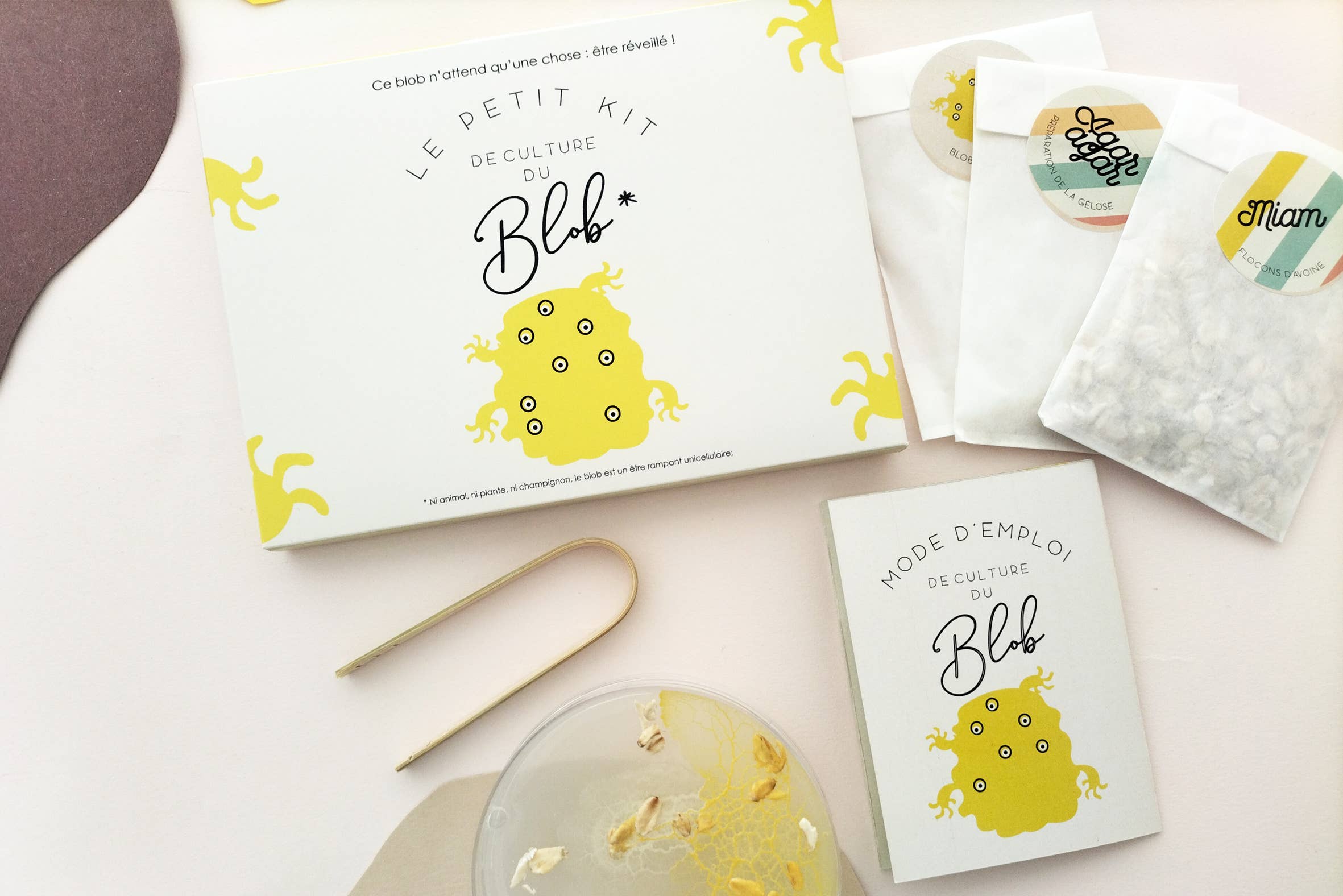 Pamela Loops - Wholesale DIY Craft Kit - Kids - Kit de culture de Blob7