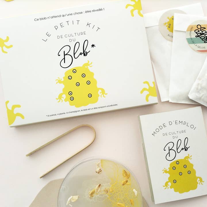 Pamela Loops - Wholesale DIY Craft Kit - Kids - Kit de culture de Blob7