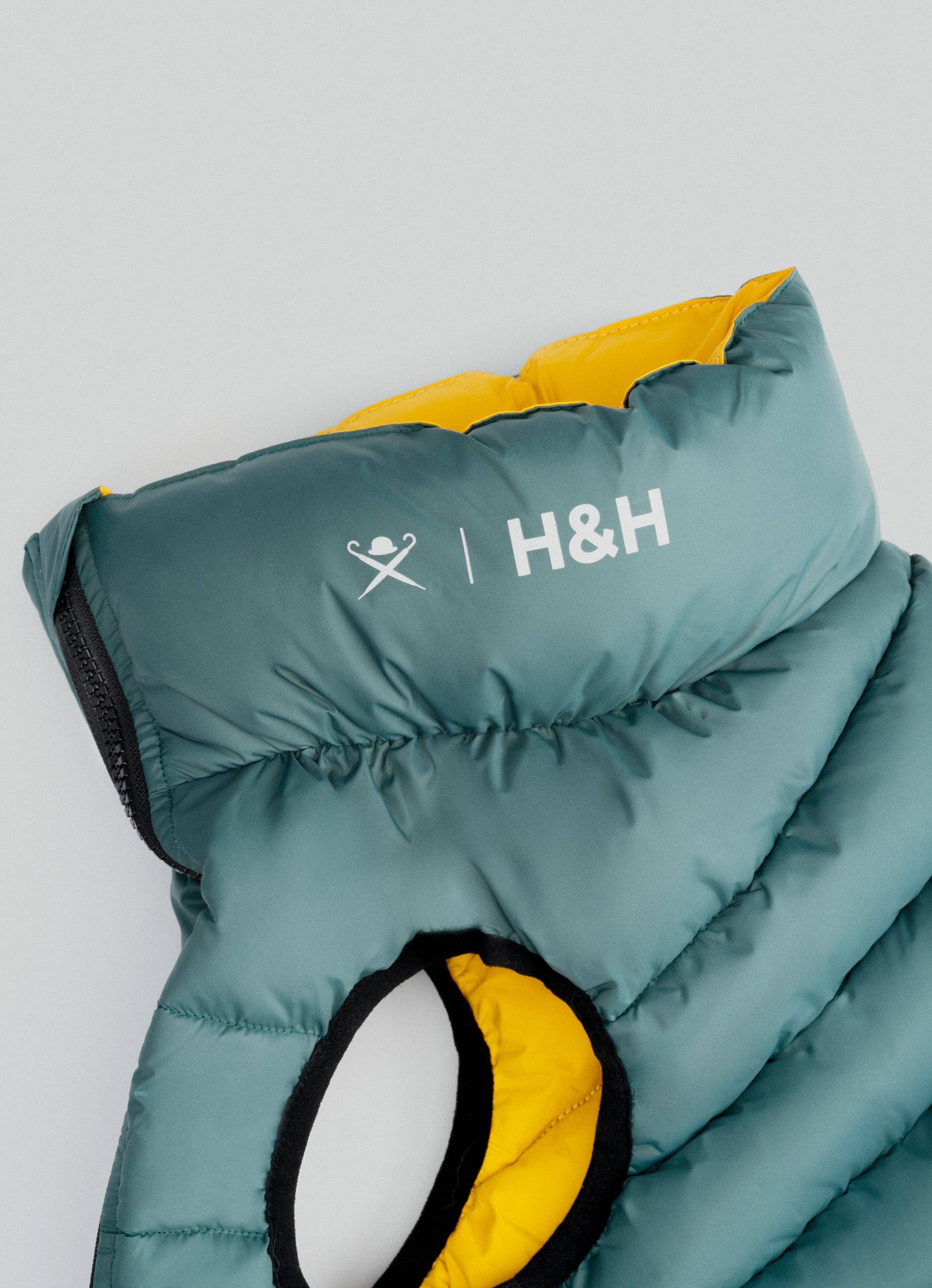 Hugo & Hudson – wholesale Hundjacka - Hund – Hackett x Hugo Hudson hundpufferjacka, Skogsgrön & Guld10