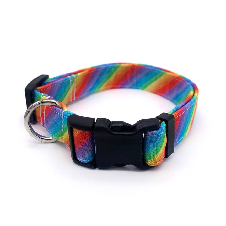 Winthrop Clothing Co. - Wholesale Pet Collar - Dog - Rainbow Dog Collar