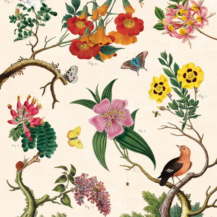 Cavallini Poster/Gift Wrap - Floreale for wholesale by Bobangles