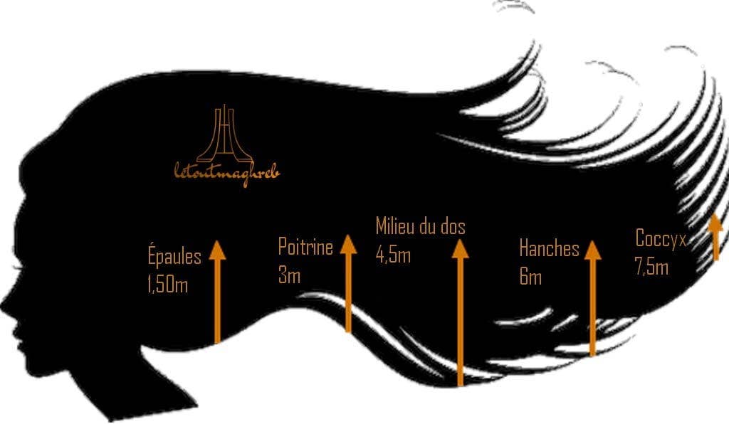 letoutmaghreb - Wholesale Straightener/Flat Iron - 300 authentic Algerian kardoun (25m) natural hair straightener8