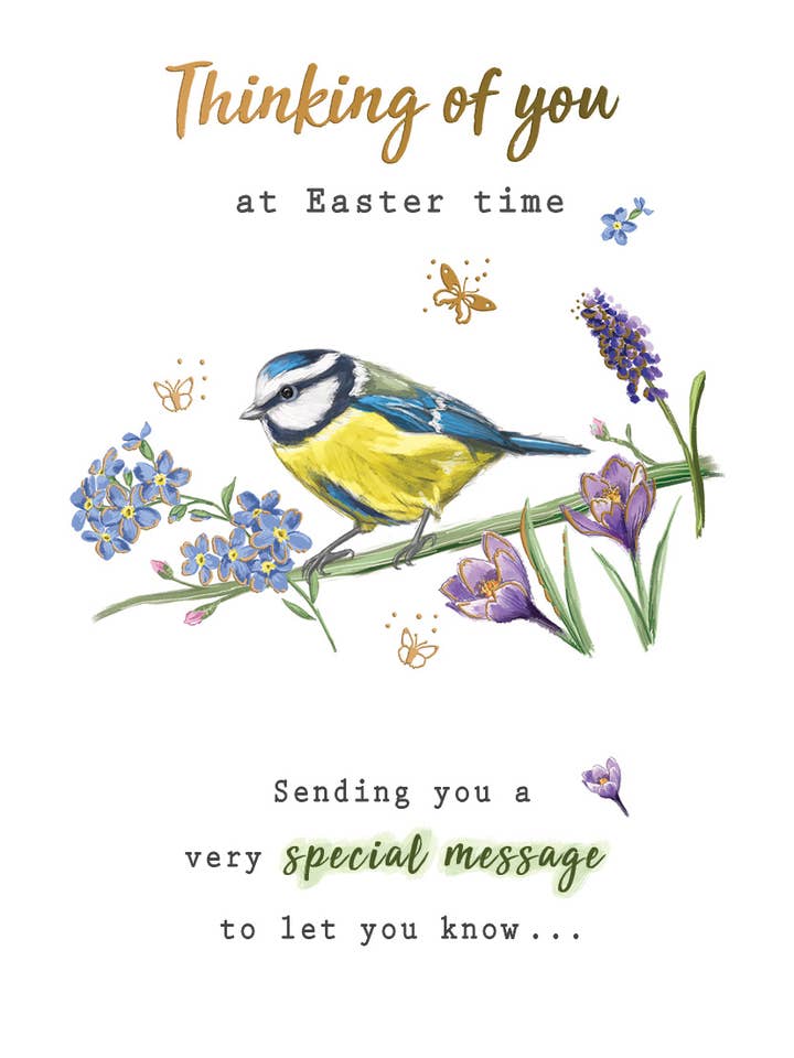 Easter Card, Thinking of You, Blue Tit for wholesale by Piccadilly Greetings