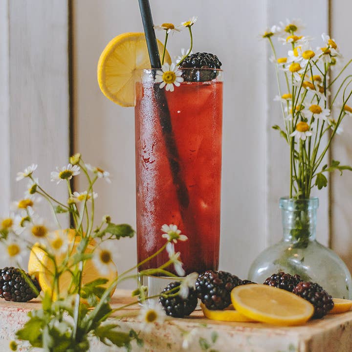 Meadowland Syrup - Wholesale Cocktail Mix/Syrup - Oregon Black Bird Simple Syrup1