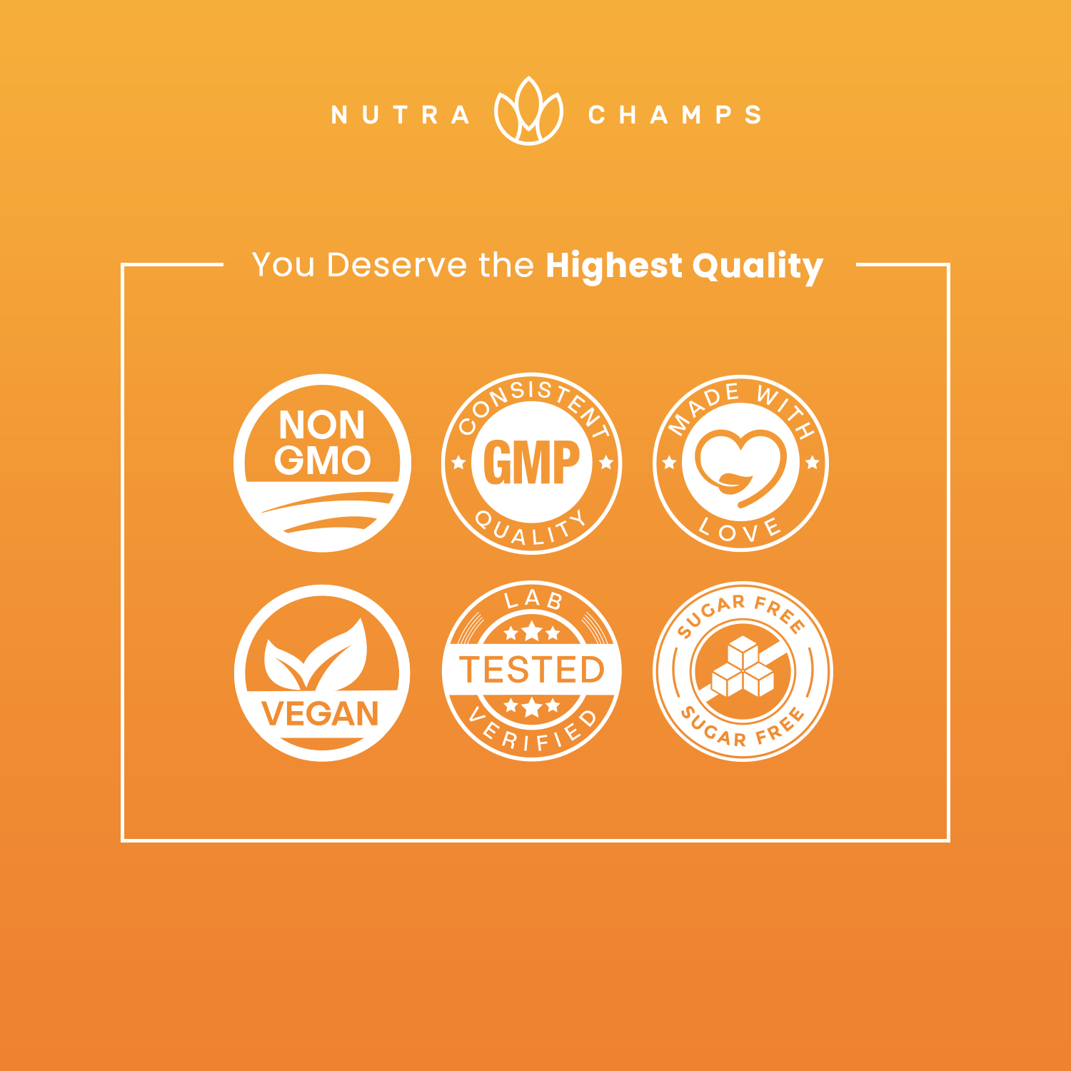 NutraChamps - Wholesale Oral Supplement/Vitamin - Kid's Multivitamin Gummies - Vitamins A, B, C, D3 and more5