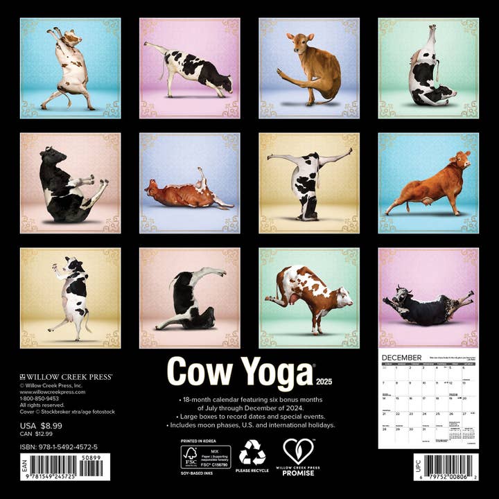 Willow Creek Press & Gifts - Wholesale Calendar - Cow Yoga 2025 Mini Wall Calendar