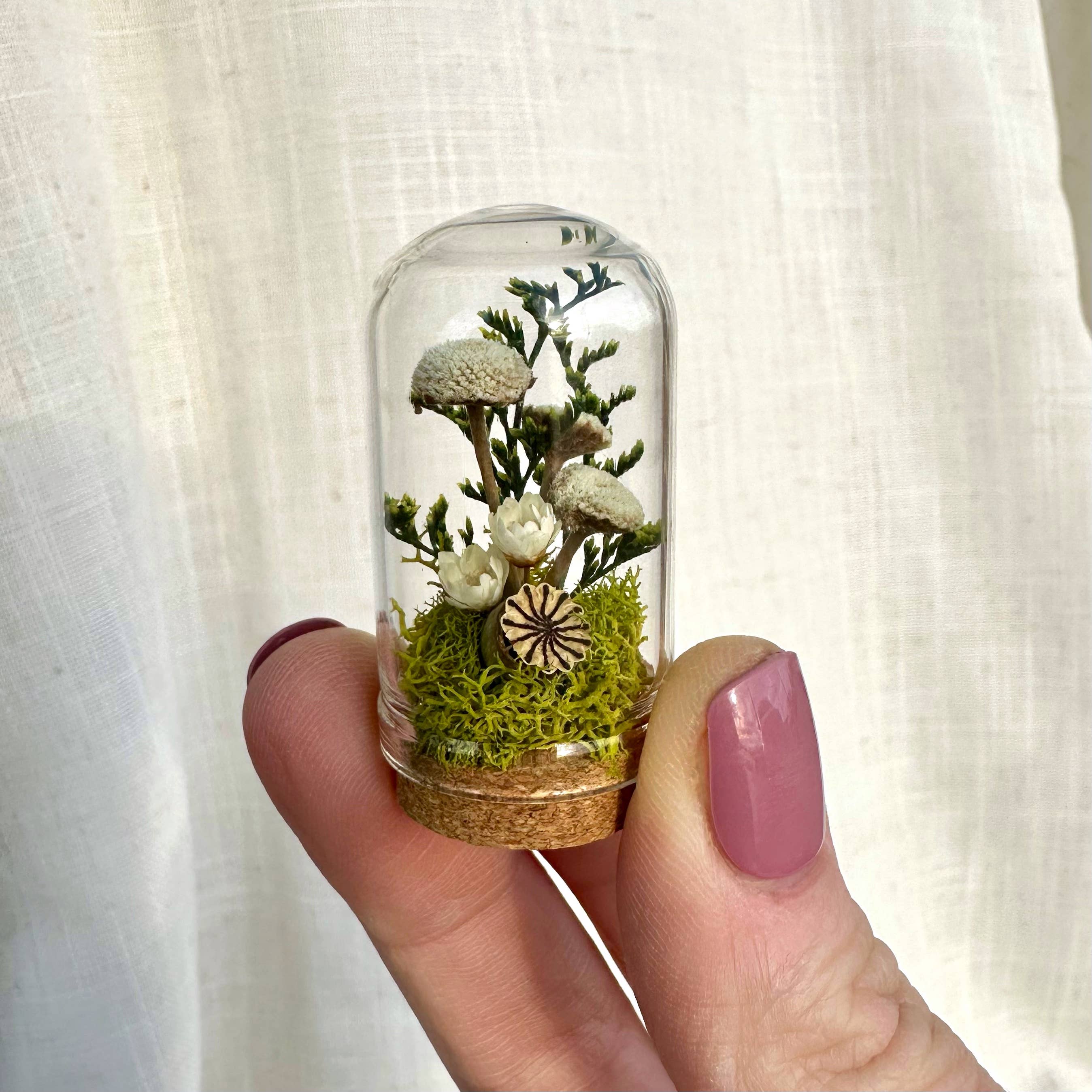 CA Studios - Wholesale Terrarium - Flower Forest Mix Mini Cloche Terrarium w. Dried Florals2
