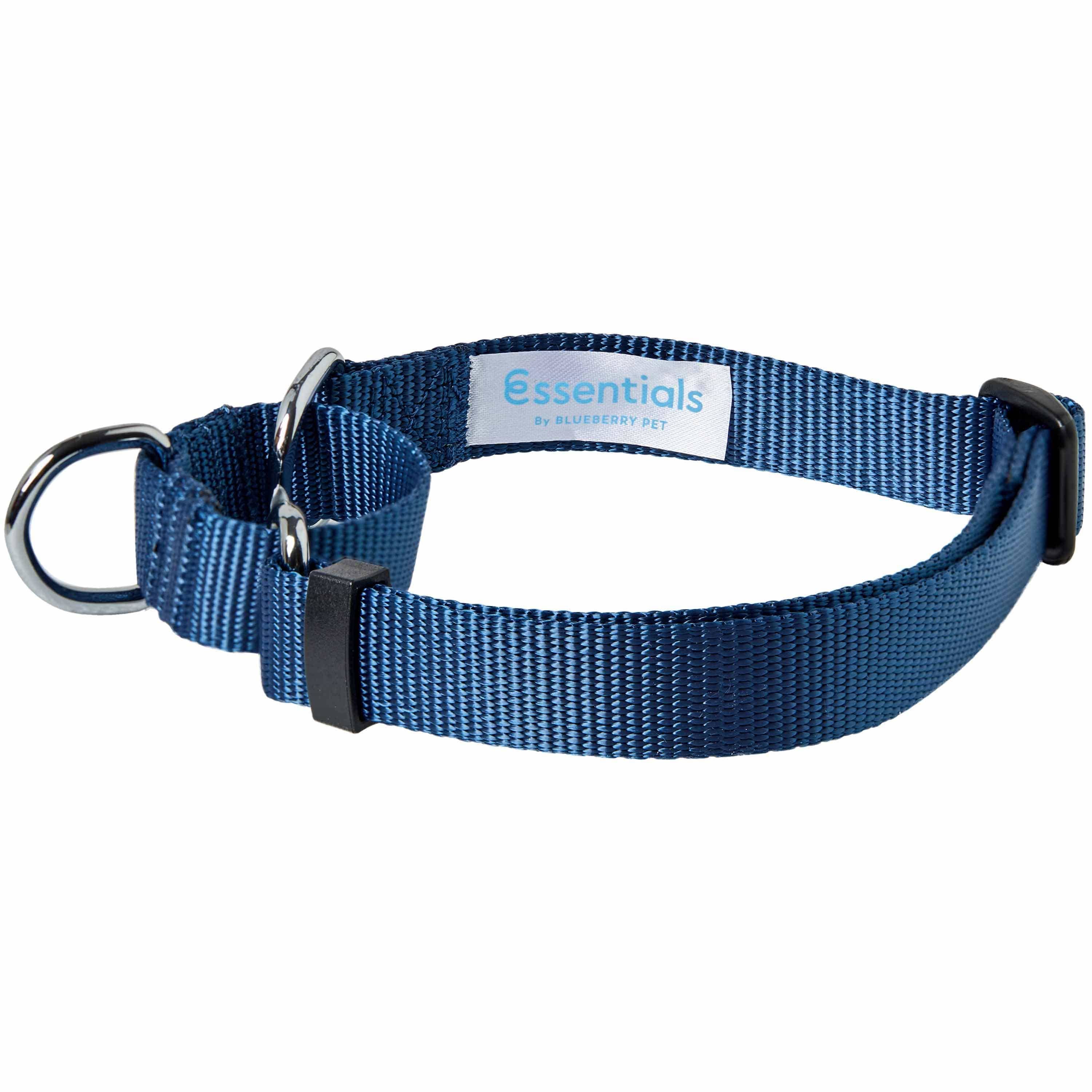 Blueberry Pet – Großhandel Haustierhalsband – Hund – 4 Farben, Klassisches Martingale-Hundehalsband12
