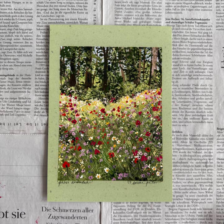 Phlox drummondii impression pour la vente par denaisx