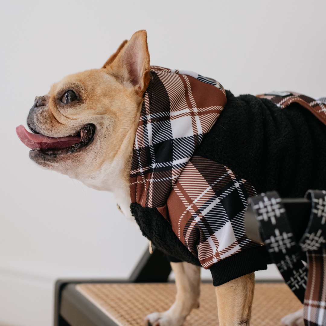 Frenchie - Wholesale Pet Hoodie - Dog - Frenchie Dog Hoodie - Cocoa Plaid11
