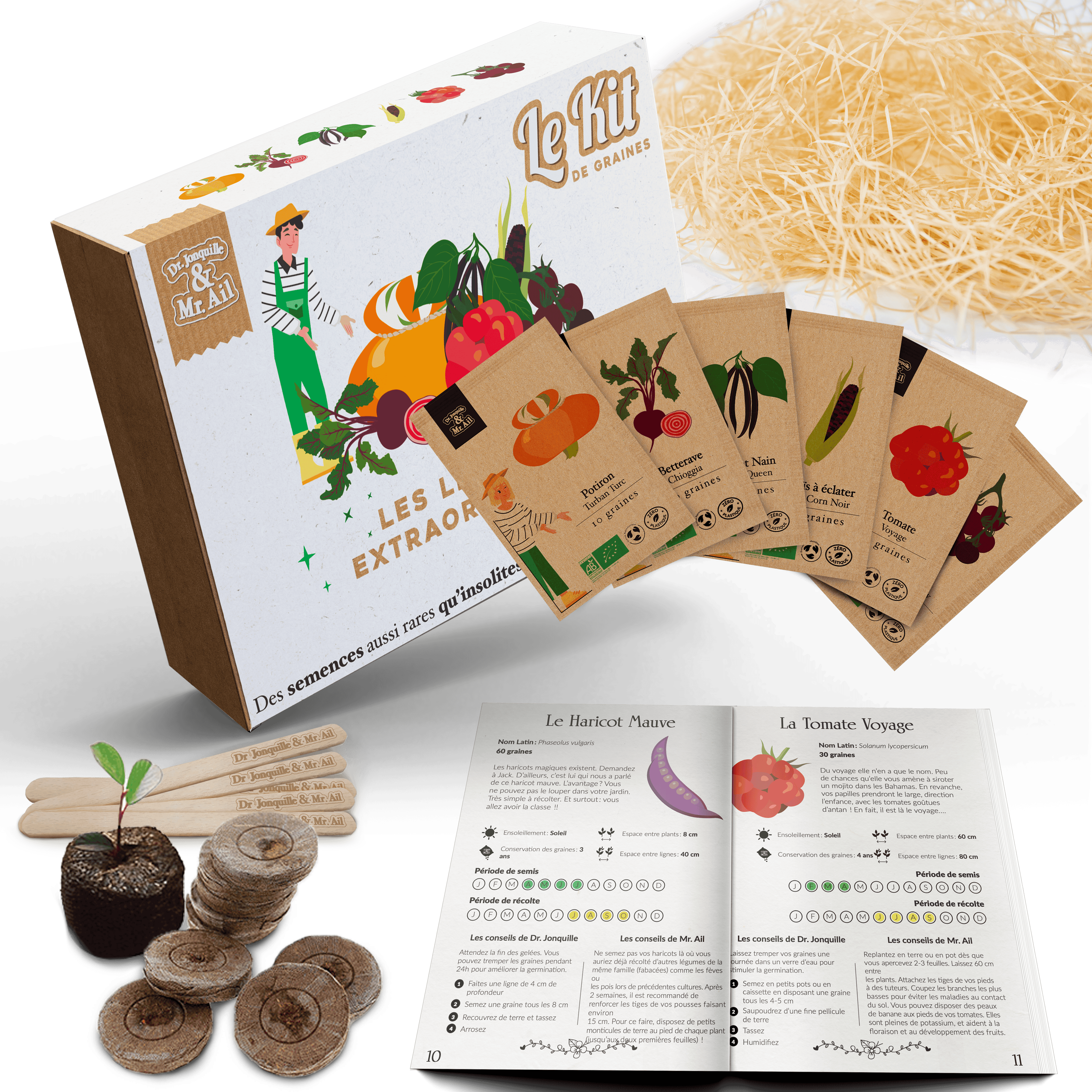 Dr. Jonquille & Mr. Ail - Wholesale Plant Seeds - The Extraordinary Vegetables - Themed Gardening Kit1