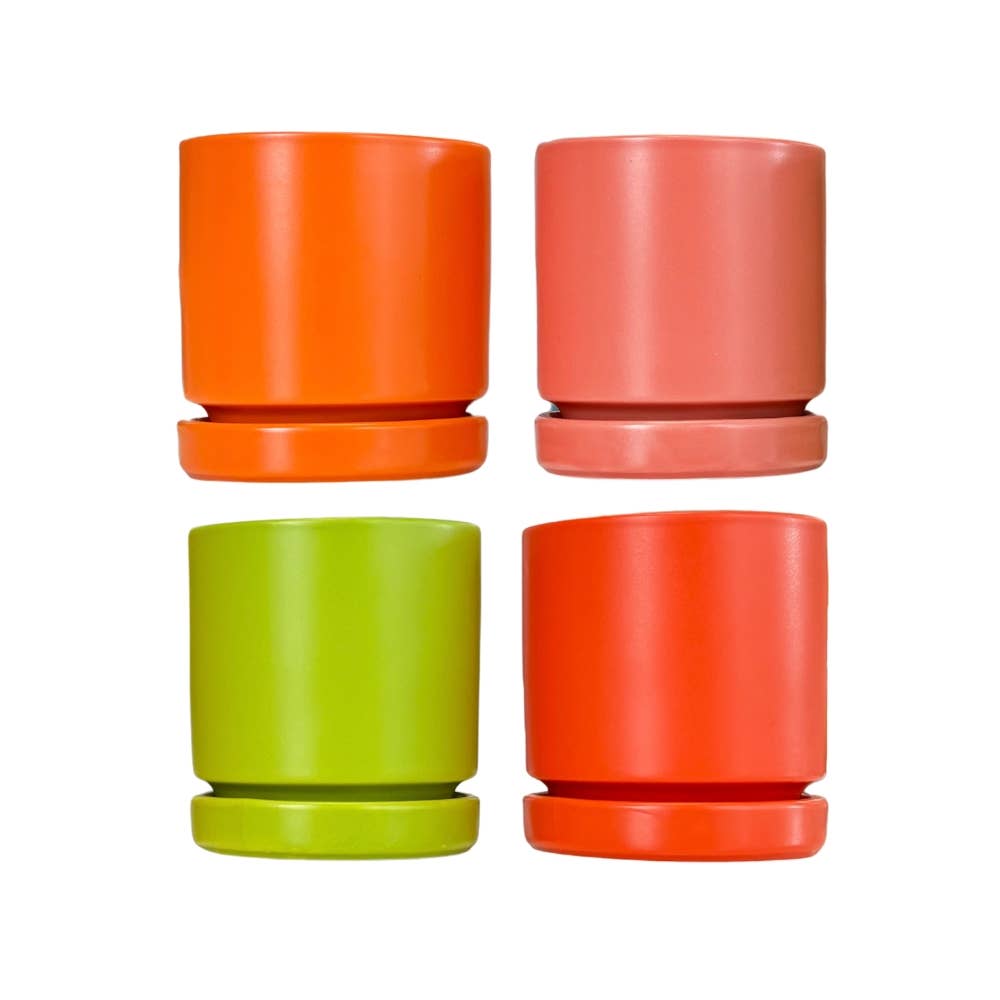 Momma Pots - Wholesale Plant Pot - 8.5" Citrus Collection Cylinder Pots with Water Saucers4