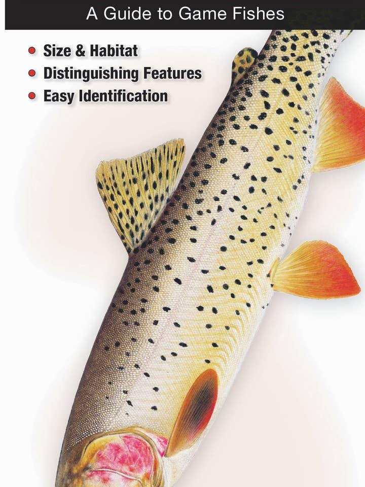 Ferskvandsfisk i de nordlige Rocky Mountains for engroshandel hos Quick Reference Publishing, Inc