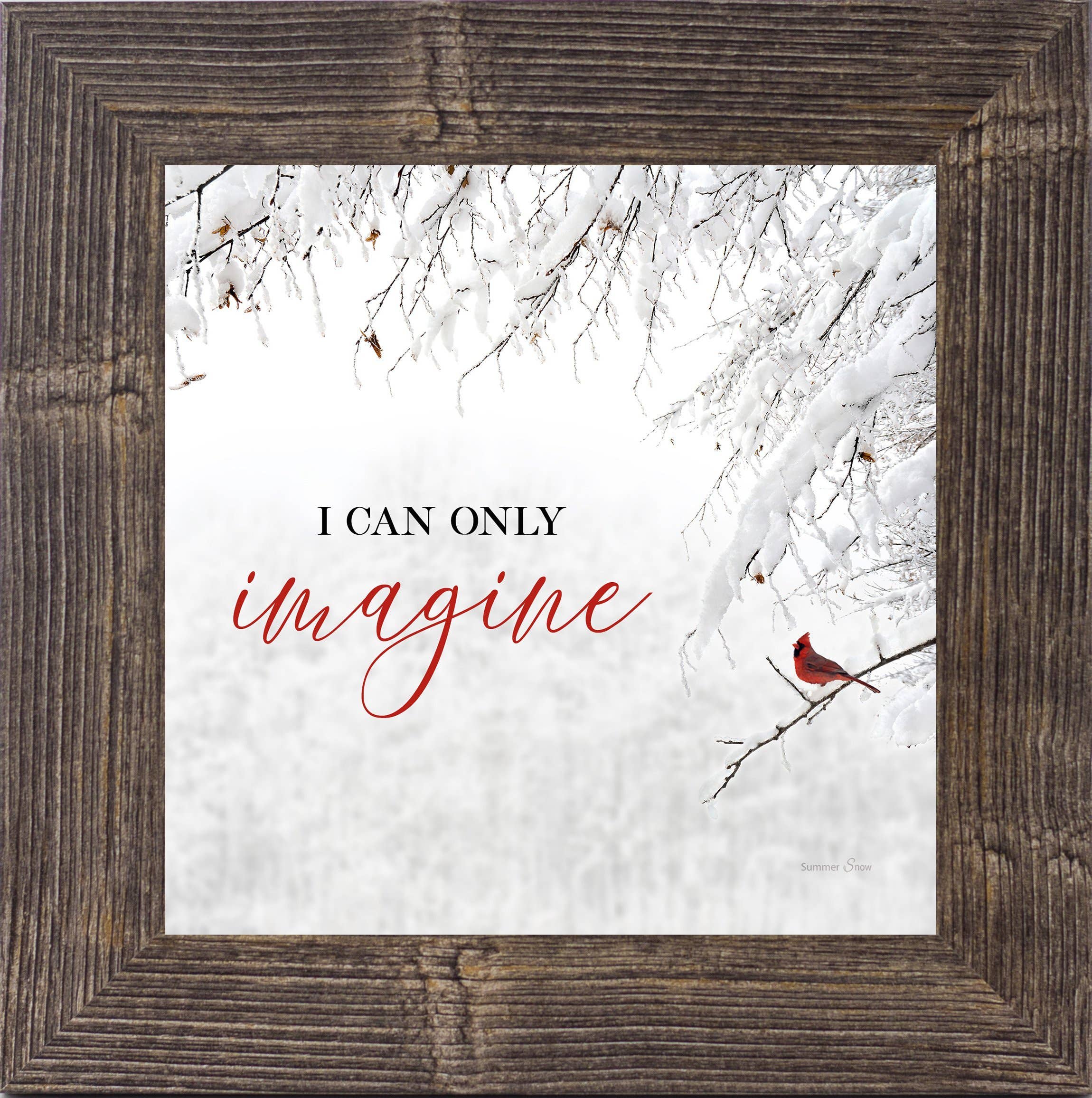 Summer Snow Art - Vente Pancarte - I Can Only Imagine Image de Sympathie Cardinal encadrée1