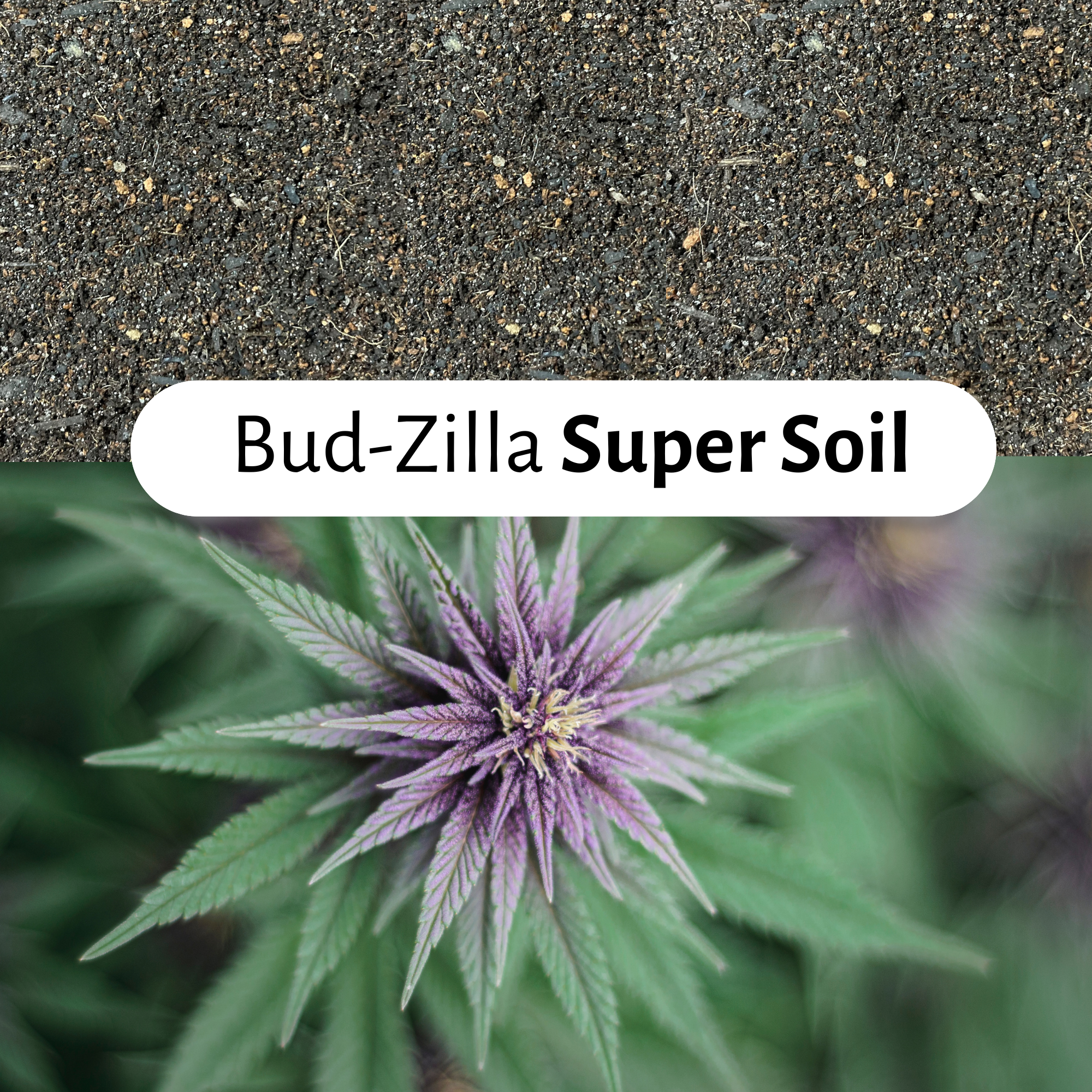 Happy Bunny Farms – wholesale Planting/potting soil – Bud-Zilla Premium Soil for Cannabis & Hemp Plants, 4QTs4