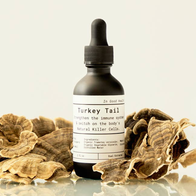 Wholesale Turkey Tail Mushroom Extract Tincture for wholesale by Ambrosia Harvest - Mushroom Supplements