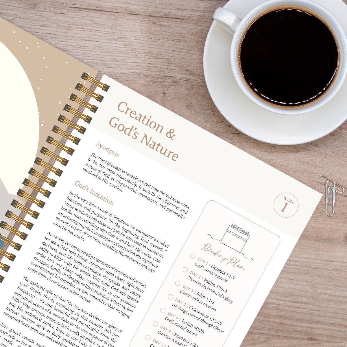 Spiral Bible - Wholesale Religion Book - The Bible In A Year: A 52-Week Journey Through God's Word5