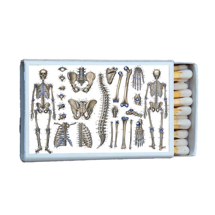 Most Amazing - Wholesale Matches - Anatomy Osteography Matchbox • Candle Acc • Matches