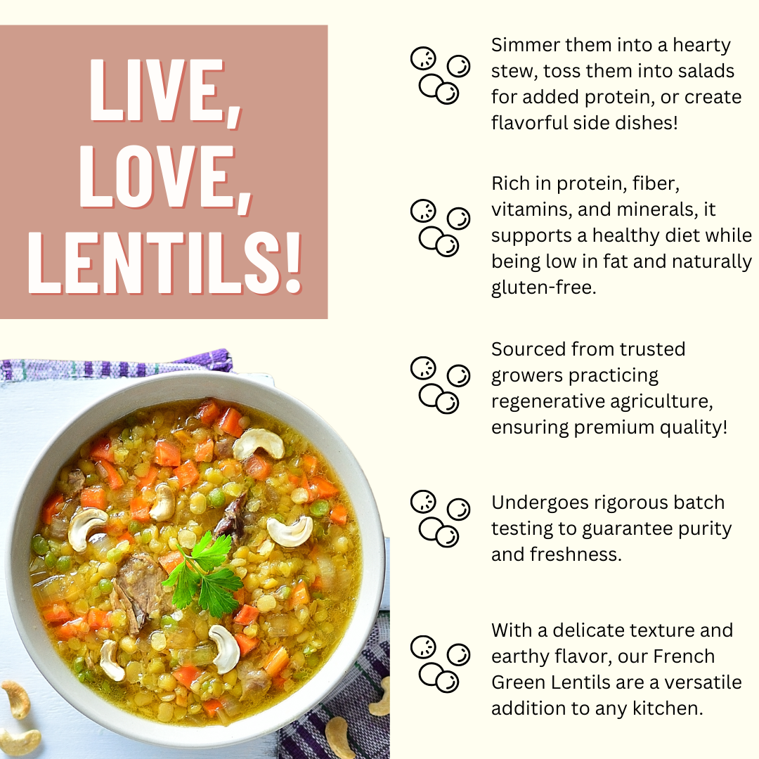 Mountain High Organics - Wholesale Beans - Organic French Green Lentils, 1lb. 6 Pack3