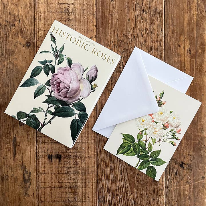 Koustrupco - Wholesale Stationery/Notecard Set - Cardfolder Historic Roses 8 cards w/8 envelopes1