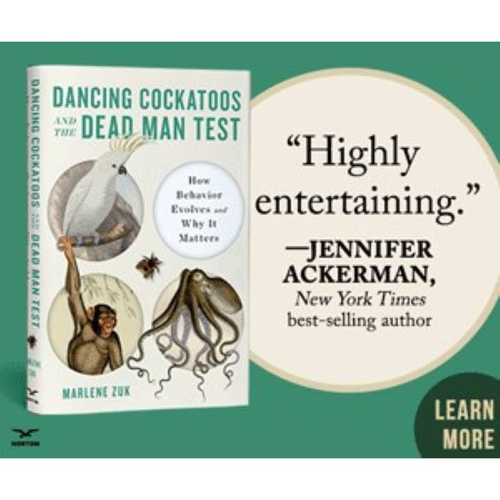 W. W. Norton - Wholesale Science & Math - Dancing Cockatoos and the Dead Man Test1