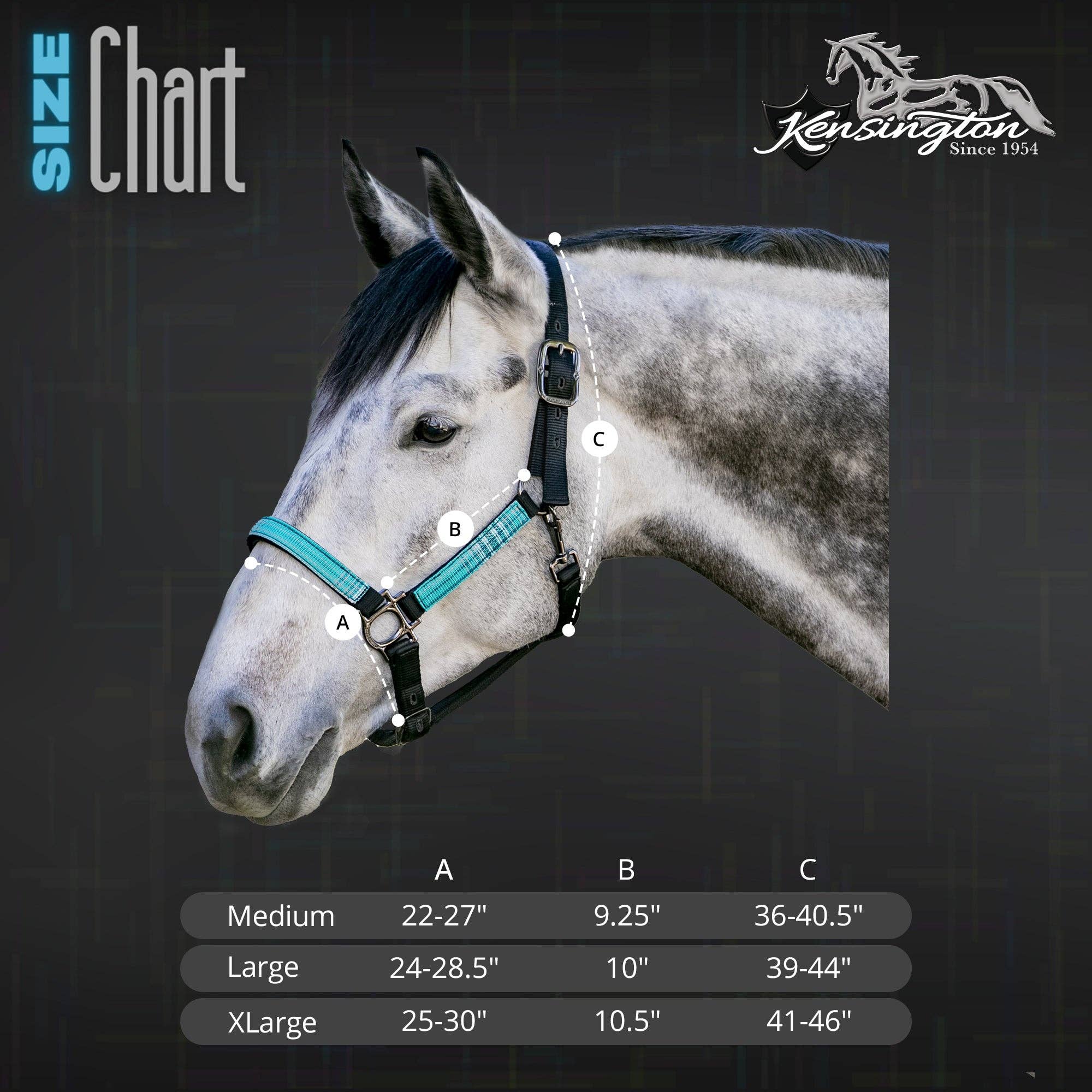 Kensington - Wholesale Horseback Riding Gear - Premium Nylon Halter7