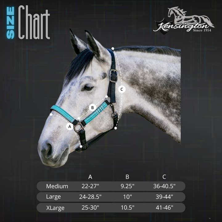 Kensington - Wholesale Horseback Riding Gear - Premium Nylon Halter7