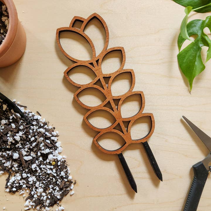 Leaf & Node - Wholesale Trellis - MCM Style Wood Indoor Plant Trellis (Tulip - 2 Sizes)5