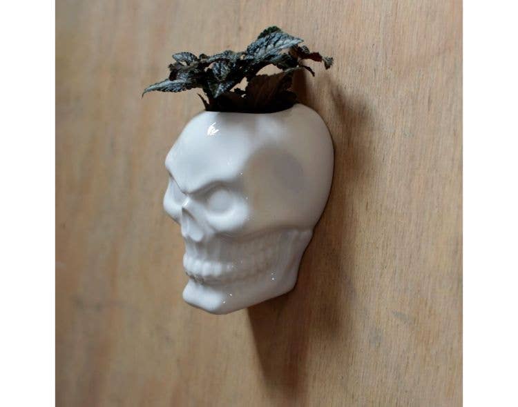 Crystal Magick Wholesale Ltd – wholesale Wall planter – Ceramic Skull Wall Plant Pot0