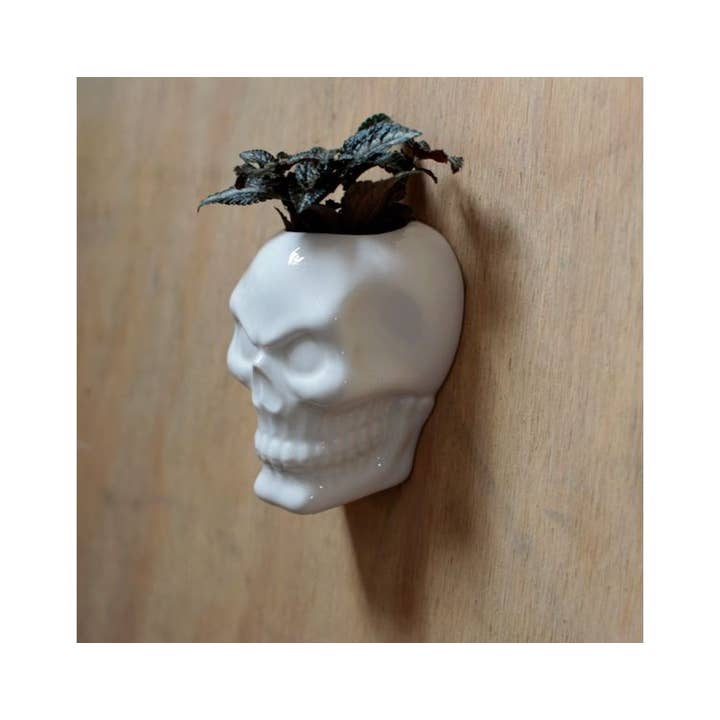 Crystal Magick Wholesale Ltd – wholesale Wall planter – Ceramic Skull Wall Plant Pot