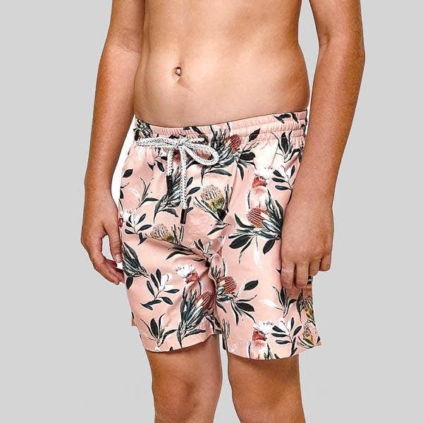 Bañadores Banksia Boys para venta al por mayor de Bondi Joe Swimwear