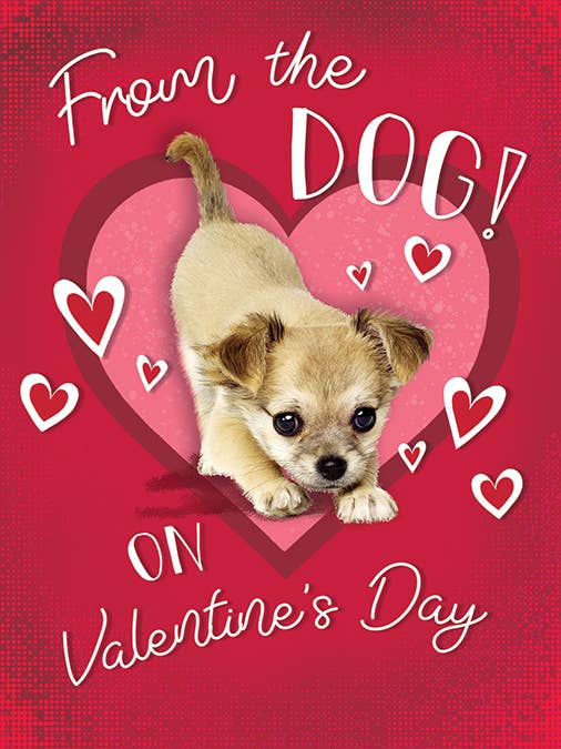 Biglietto di San Valentino, Dal Cane, Cucciolo per la vendita all'ingrosso da parte di Piccadilly Greetings