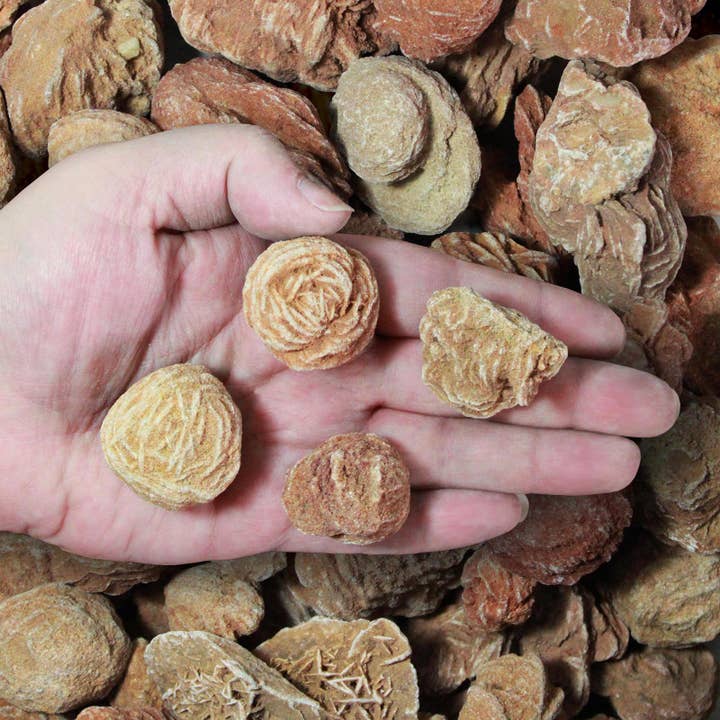 Fantasia Mining - Wholesale Spiritual Stone/Crystal - Rough Desert Roses - Morocco (1lb)