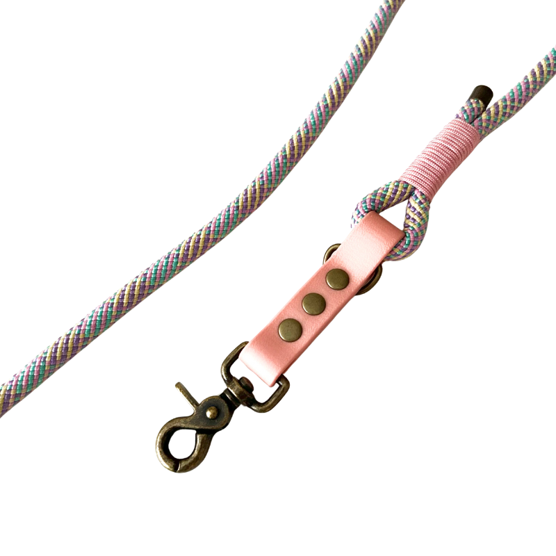 KITSUNE.DOG - Wholesale Pet Leash - Dog - Leave MULTIPOSITION textured paracord / ROSE biothane3