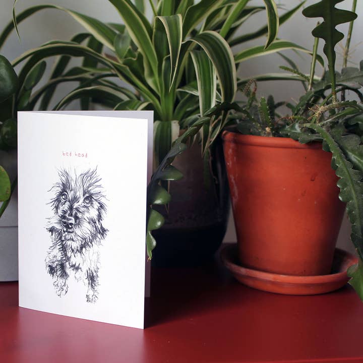 Bed Head Daschund Dog Greeting Card for wholesale by Strange Goods
