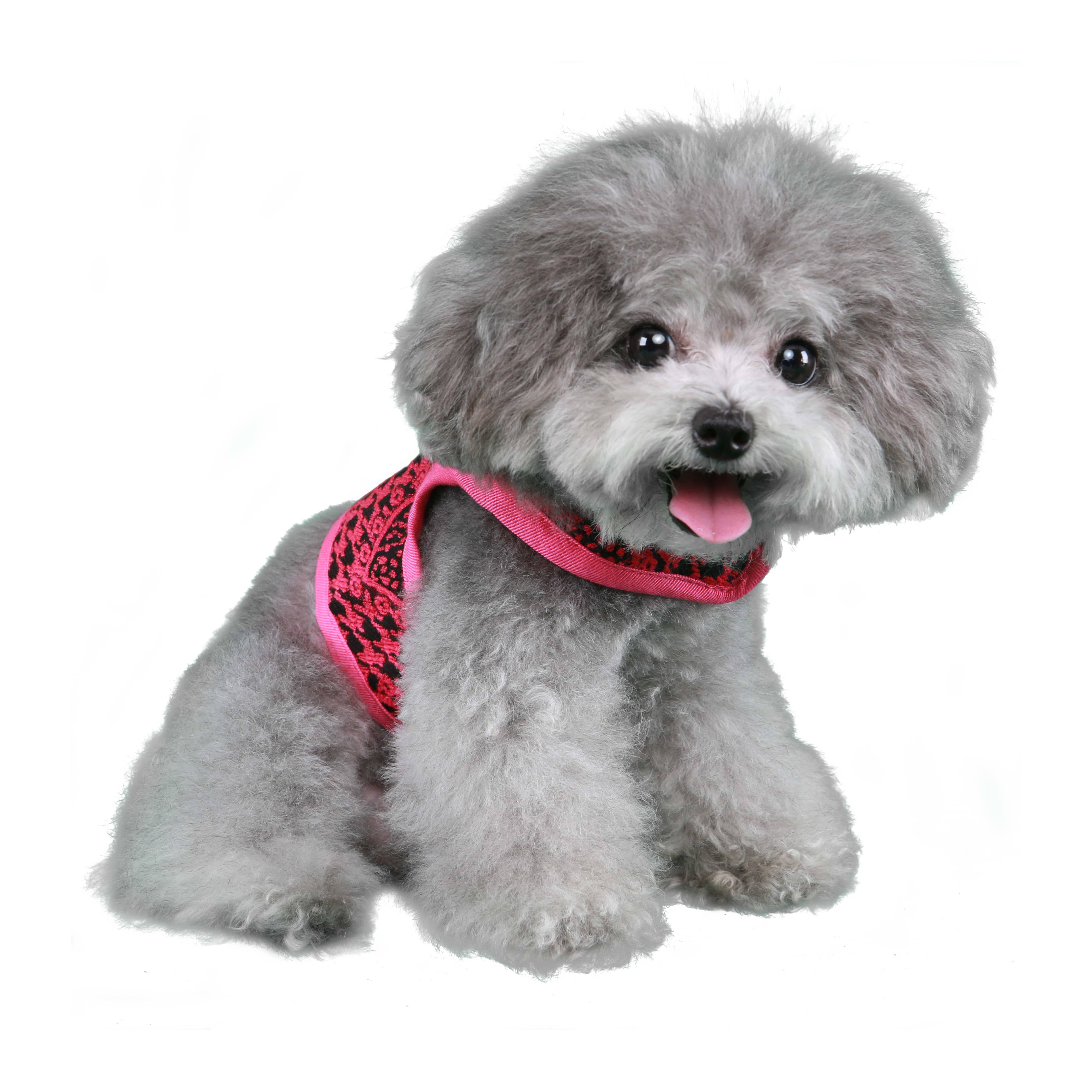 Pooch Outfitters - Wholesale Pet Harness - Dog - Celina Harness1