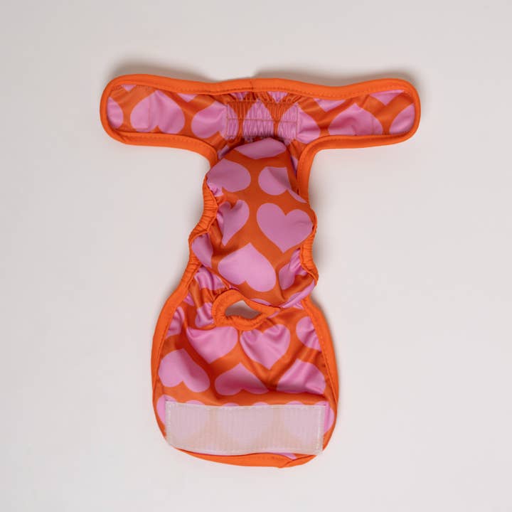 Lou and co. - Wholesale Pet Diaper - Dog - Dog Period Pants - Hearts2