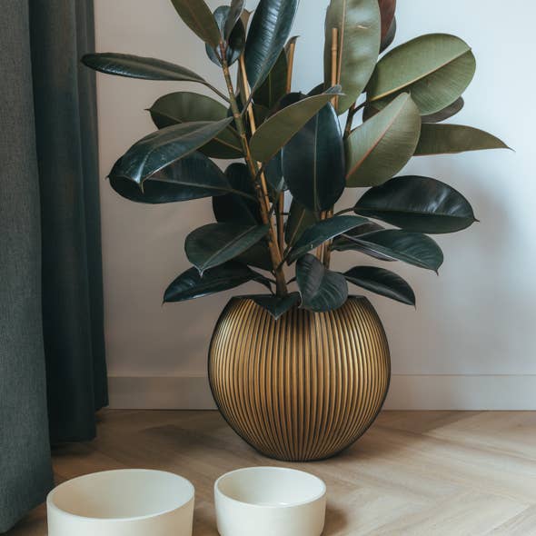 Ceramic food bowl Fennec for wholesale by AVA bowls
