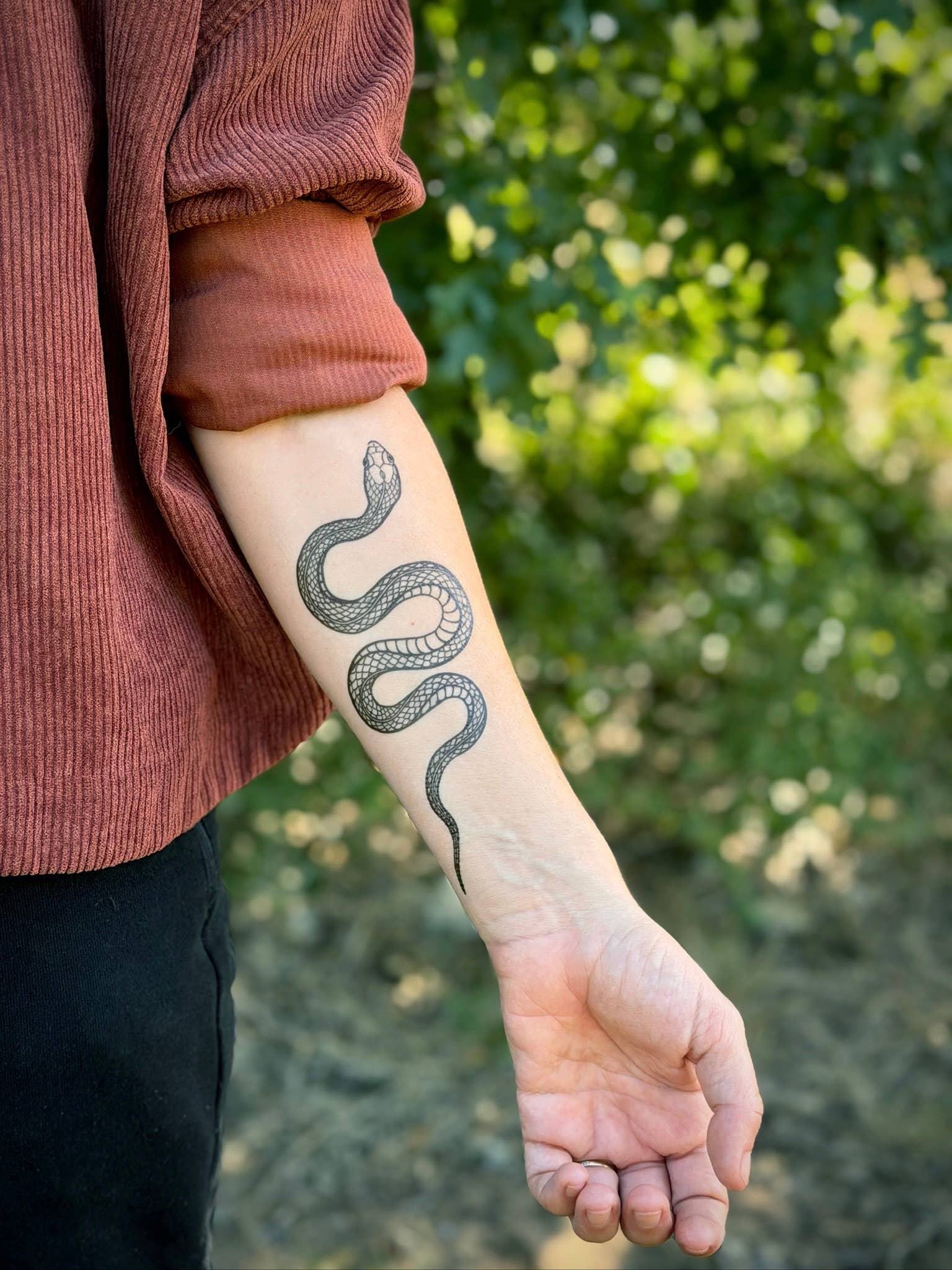 NatureTats - Wholesale Temporary Tattoo - Garden Snake Temporary Tattoo4