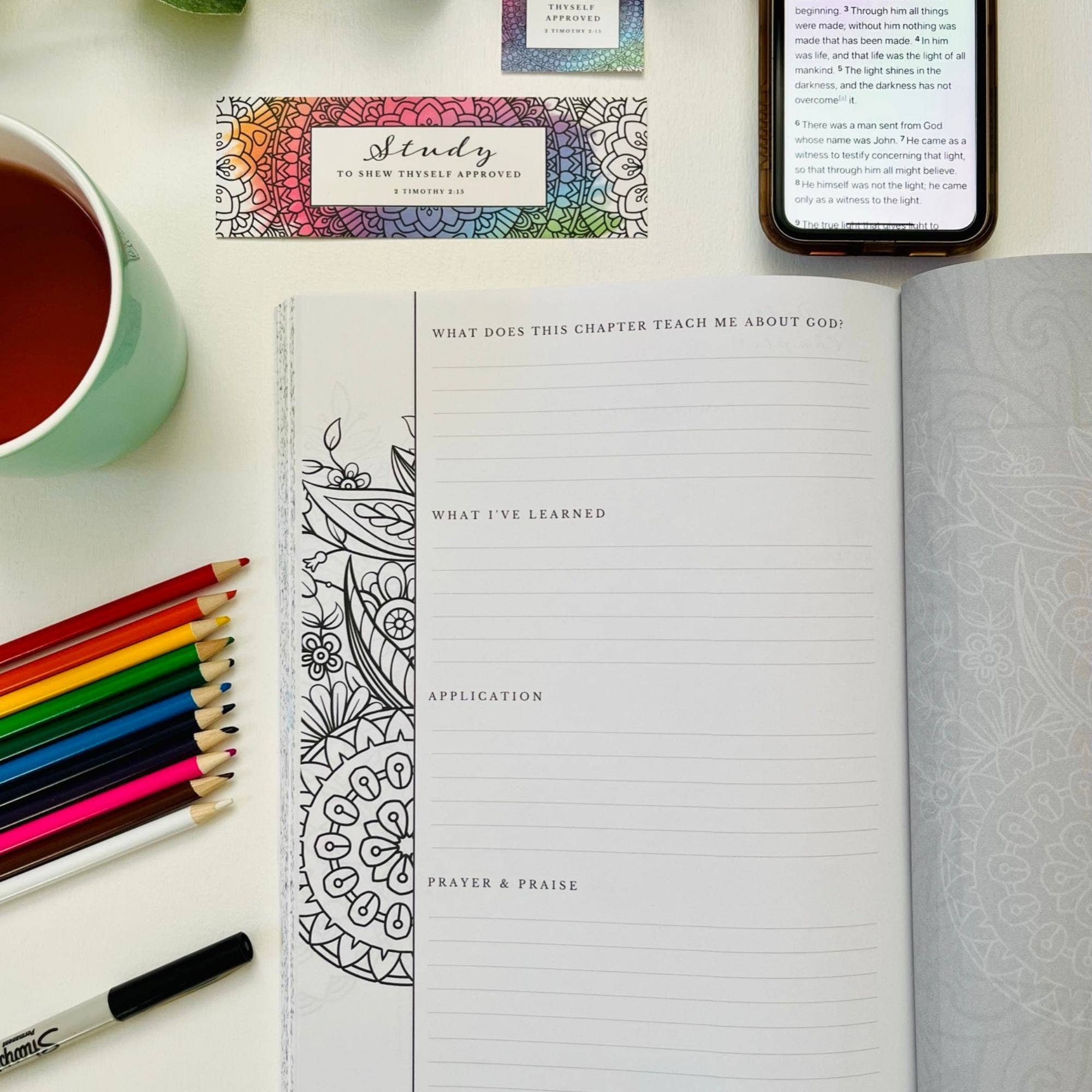 Scripture and Grace - Wholesale Journal/Diary - Chapter by Chapter Bible Study Journal and Coloring Book7