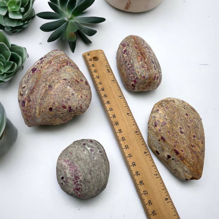 Crystals of India – Großhandel Spiritueller Stein/Kristall – Ruby Albite Einseitiger Nagellack3