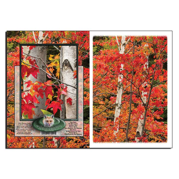 #3018 herfst kleur notecard voor wholesale door White Mountain Images
