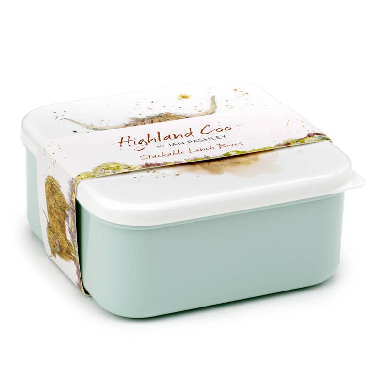 Puckator Ltd - Wholesale Broodtrommel/lunchdoos - Set van 3 lunchbox snackpotten M/L/XL - Highland Coo Cow2