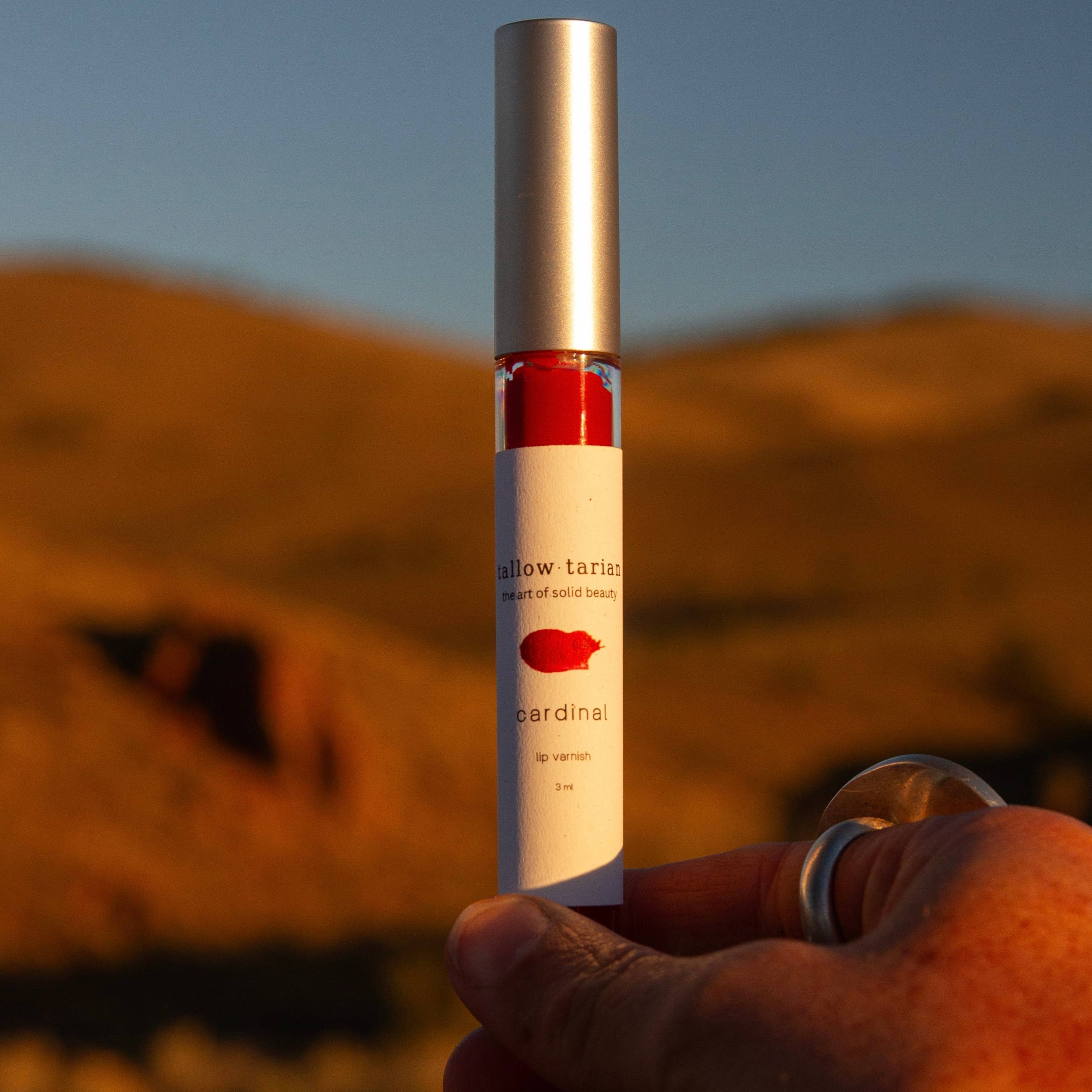 tallowtarian - Wholesale Lip Gloss - Lip Varnish Wand Bottle8