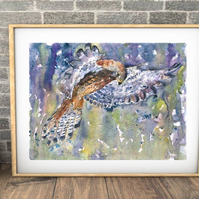 "Hunting Kestrel" Fine Art Print for wholesale by Naomi Neale Art