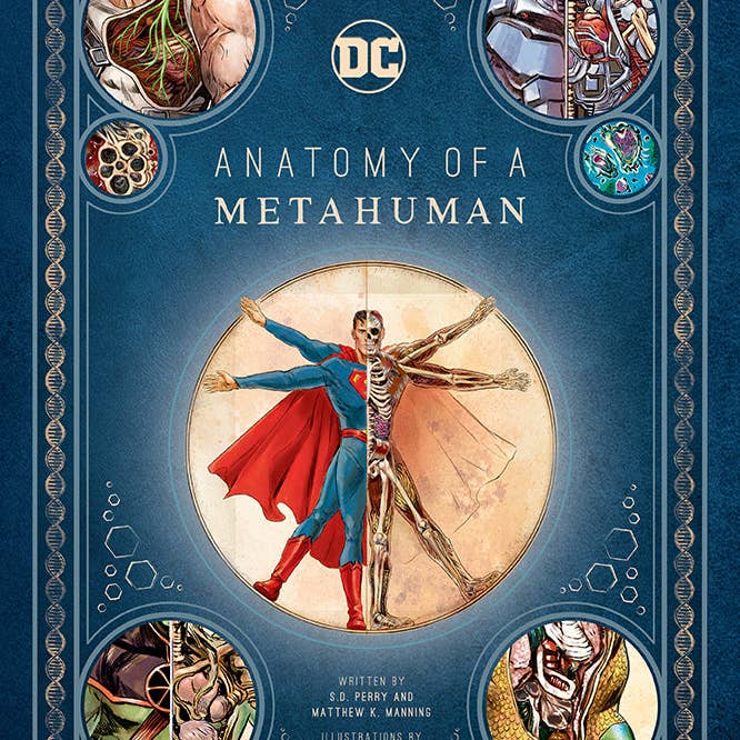 DC Comics: Anatomy of a Metahuman for wholesale by Insight Editions - #1 Pop Culture Publisher